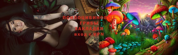 jwh Михайловск