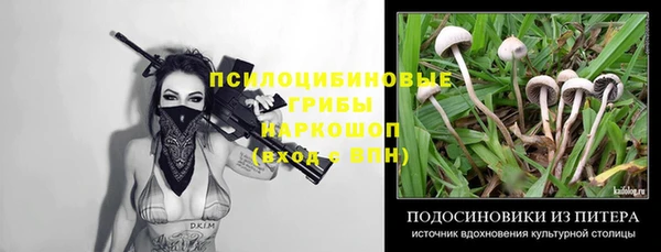 jwh Михайловск