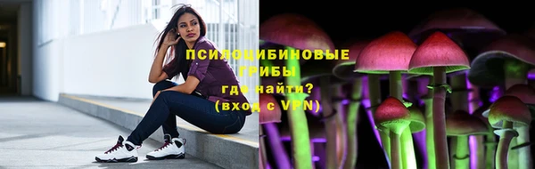 индика Медвежьегорск