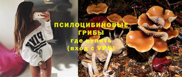 jwh Михайловск