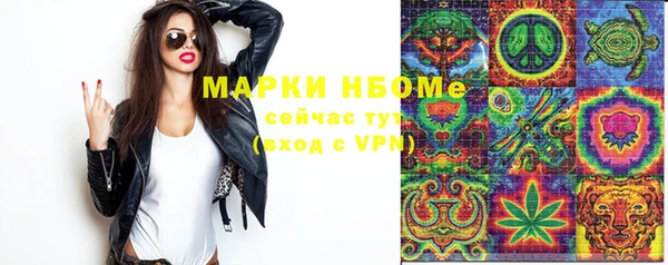 сатива Нефтекумск
